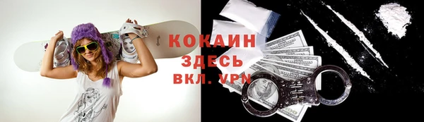 гашик Алексин